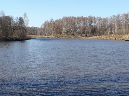 ������ ��������� ������� 12 �����. (���� �2)