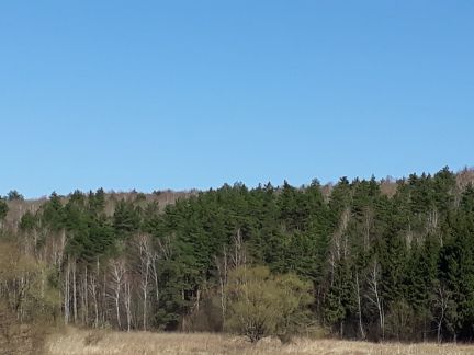 ������ ��������� ������� �� 75 �� �� ���� �� ������� (���� �5)