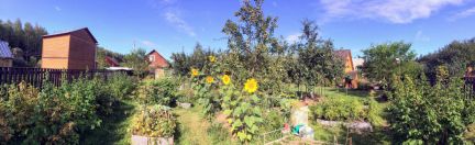 ������ ��������� ������� � ��� �������� �� 95 �� �� ���� (���� �7)