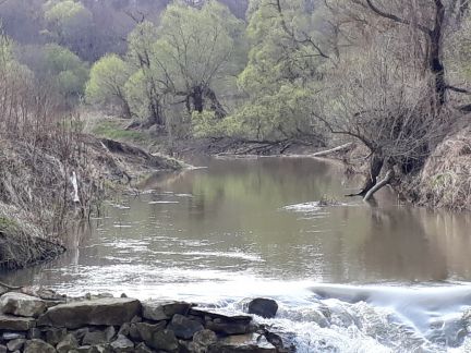 ������ ��������� ������� 15 �����. (���� �4)