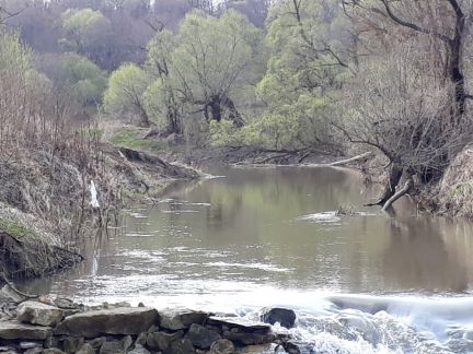 ������ ��������� ������� 75 �� �� ���� �� ���������� ����� (���� �4)