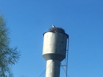 ������ ��������� ������� �� 130 �� �� ���� ����� ����� (���� �2)