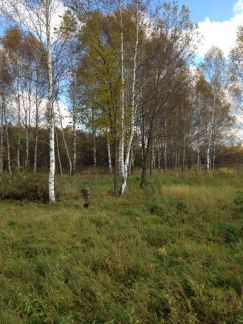 ������ ��������� ������� ������� ������� ������������ ����� (���� �2)