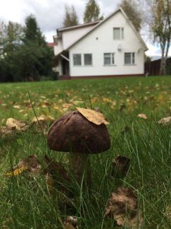 ����� ��� �� 27 �� �� ���� ��������� ����������� ����� (���� �10)