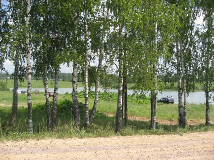 ������ ��������� ������� �� ���������� ������� ������ ����������� ����� (���� �8)