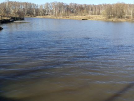 ������ ��������� ������� �� 75 �� �� ���� �� ���������� ����� (���� �5)