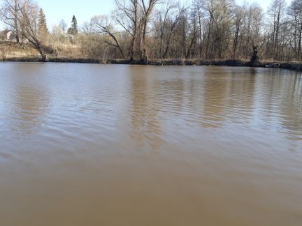 ������ ��������� �������. �� 75 �� �� ���� �� ���������������� ����� (���� �4)