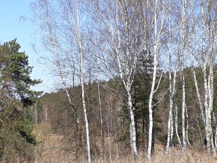 ������ ��������� �������. �� 75 �� �� ���� �� ���������������� ����� (���� �5)