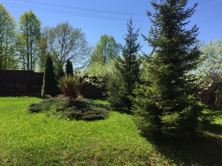 ������ ��������� ������� ���������� ������� ����������� �-�� ���� �������� ��� (���� �16)