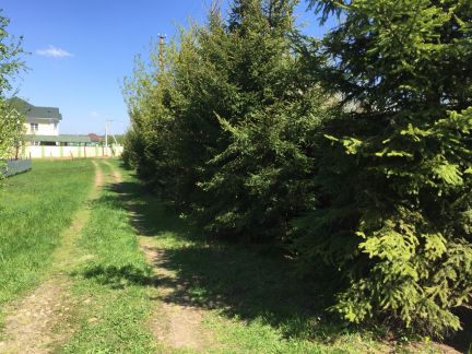 ������ ��������� ������� ���������� ������� ����������� �-�� ���� �������� ��� (���� �19)