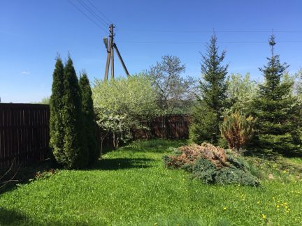 ������ ��������� ������� ���������� ������� ����������� �-�� ���� �������� ��� (���� �20)