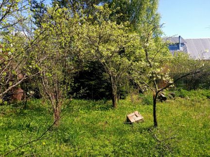 ������ ��������� ������� � ��� ������� ������ (���� �6)