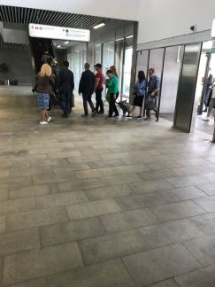          ( 11)