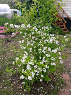 ������ ��������� ������� � ��� �������� �� 50 �� �� ���� (���� �10)