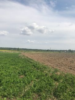 ������ ��������� ������� �. ��������� (���� �5)