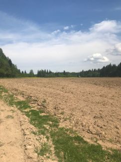 ������ ��������� ������� �. ��������� (���� �6)