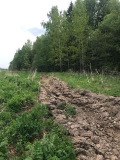 ������ ��������� ������� �. ��������� (���� �7)