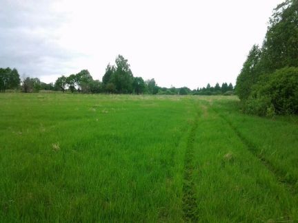 ������ ��������� ������� ��������� ����� (���� �6)