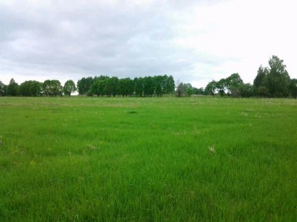 ������ ��������� ������� ��������� ����� (���� �2)