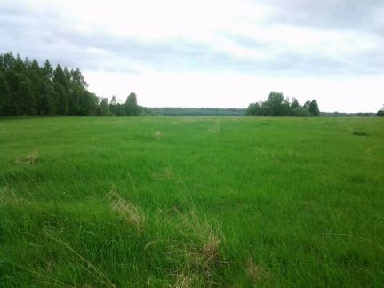 ������ ��������� ������� ��������� ����� (���� �7)