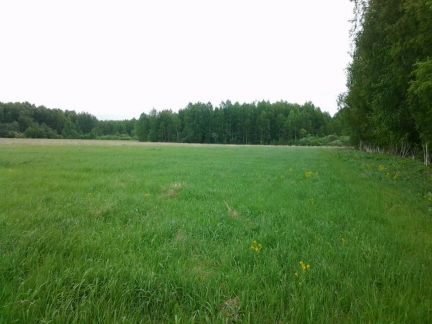 ������ ��������� ������� ��������� ����� (���� �4)