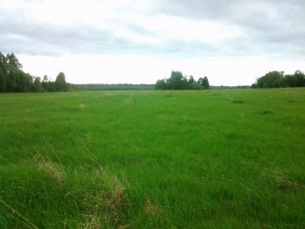 ������ ��������� ������� ��������� ����� (���� �3)