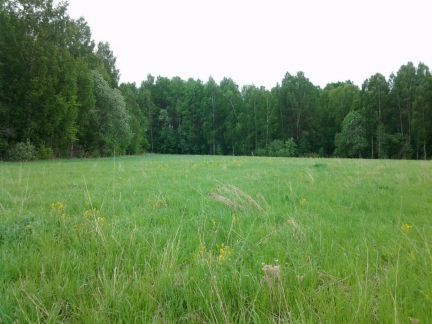 ������ ��������� ������� ��������� ����� (���� �5)