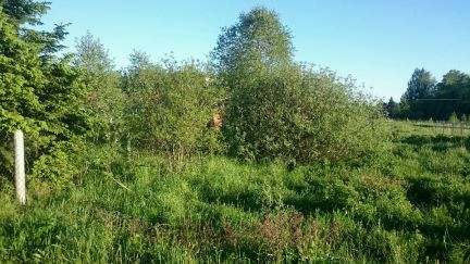 ������ ��������� ������� 8 ����� �� �������� ����� ���. ������ ��� ���� (���� �5)