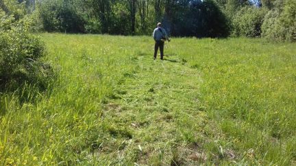 ������ ��������� ������� � ��� ������ �� 86 �� �� ���� ������� �������� (���� �4)