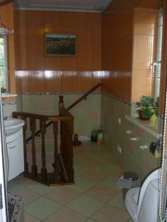 ������ ���� ���������� ������� (���� �7)