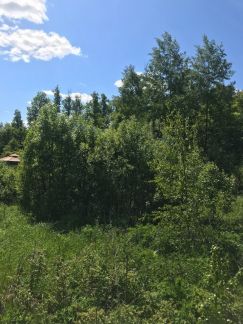 ������ ��������� ������� � ��� ��������� (���� �7)