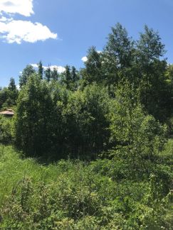 ������ ��������� ������� � ��� ��������� (���� �5)