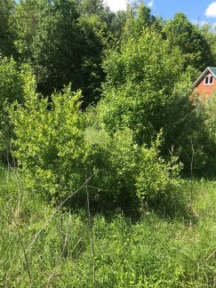 ������ ��������� ������� � ��� ��������� (���� �8)