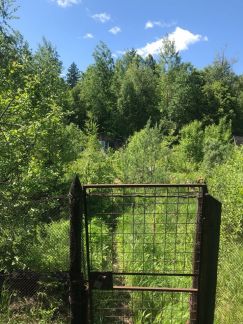 ������ ��������� ������� � ��� ��������� (���� �9)