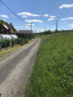 ������ ��������� ������� � ��� ��������� (���� �4)