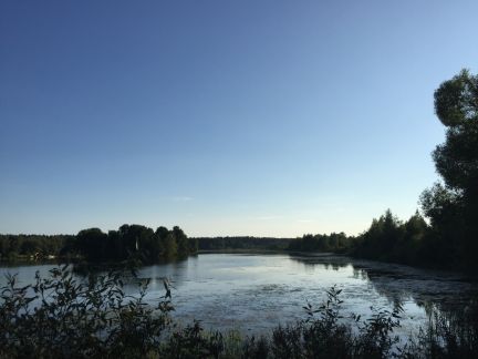 ������ ��������� ������� ��������� ����������� ������� ������� (���� �6)