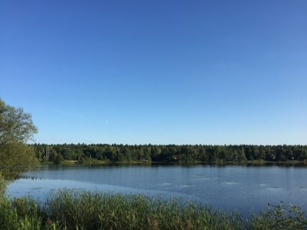 ������ ��������� ������� ��������� ����������� ������� ������� (���� �7)