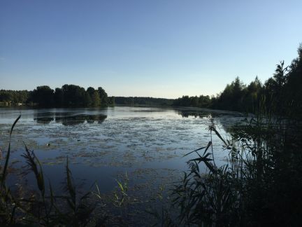 ������ ��������� ������� ��������� ����������� ������� ������� (���� �8)