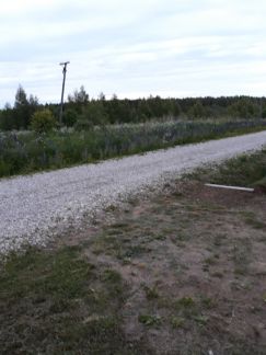 ������ ��� �� 82 �� �� ���� ����������� ����� 80-� ��. ����������-������ ������ (���� �18)