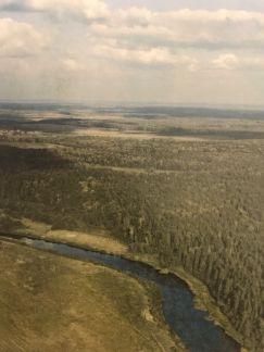 ������ ��������� ������� ������� �������� (���� �2)