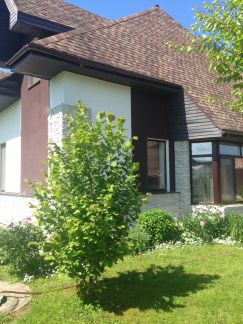 ����� ��� �� 25 �� �� ���� (���� �11)