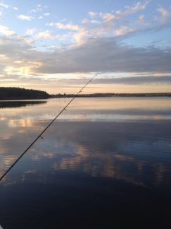 ����� ��������� ������� ��������� ���������� ������� ������������� ����� ������� ������� (���� �7)