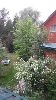 ������ ��� ������������� �������� (���� �6)