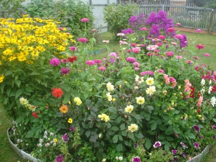 ������ ��������� ������� � ��� �������� (���� �6)