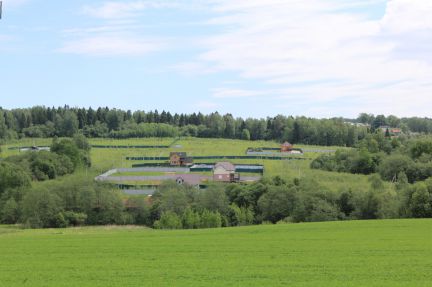 ������ ��������� ������� �������-����� (���� �11)