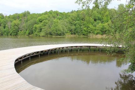 ������ ��������� ������� �������-����� (���� �14)