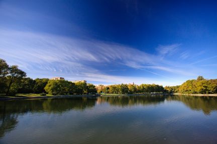 ����� ���� �� �������� 24� (���� �19)