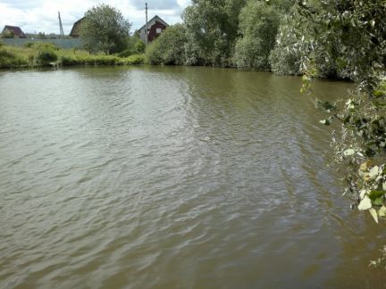 ������ ��������� ������� ��������� ����� �. �������� (���� �16)