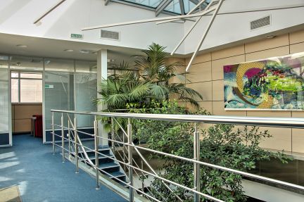 ����� ���� ����� ������������� ����� ��������� ��� (���� �6)