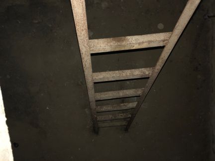 ������ ����� ��� ����� ����� ������� ����������� (���� �8)